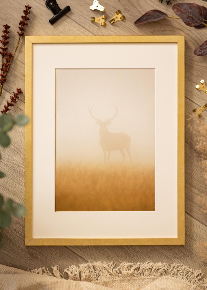 Ramme Ares Guld 30x40 cm - Passepartout Hvid 8x12 inches