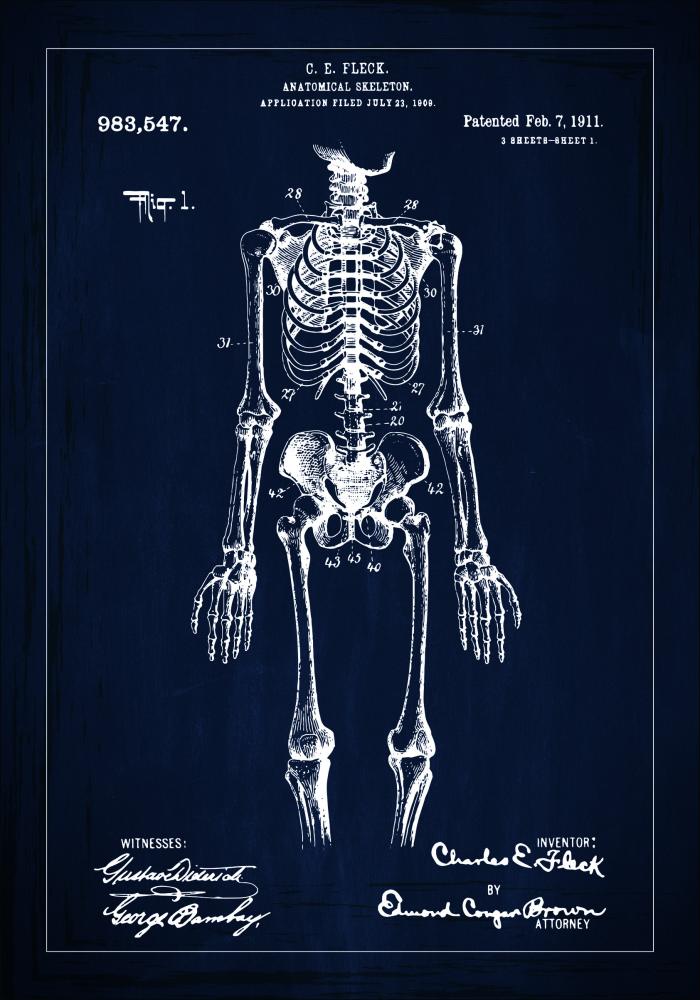 Patenttegning - Skelet I - Blå Plakat