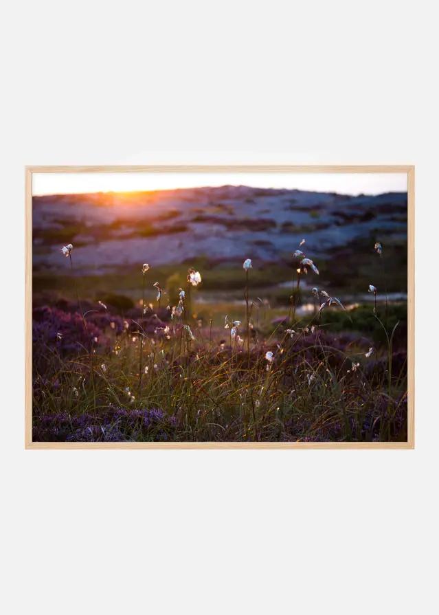 Summer evening on the rocks Plakat