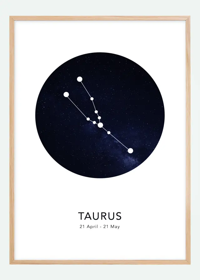 Taurus Plakat