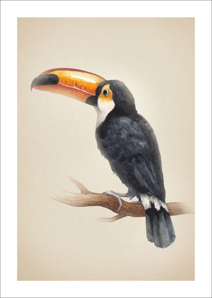 Tropical Toucan Plakat