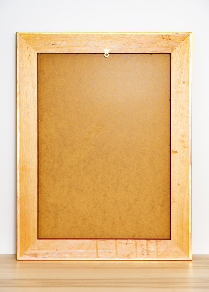 Spejl Baroque Guld 67x87 cm