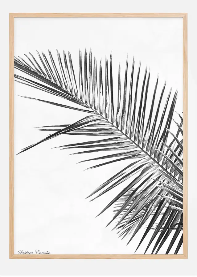 Black palm Plakat