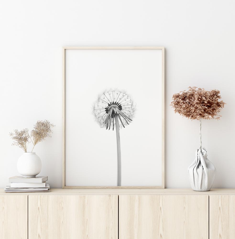 Dandelion Plakat