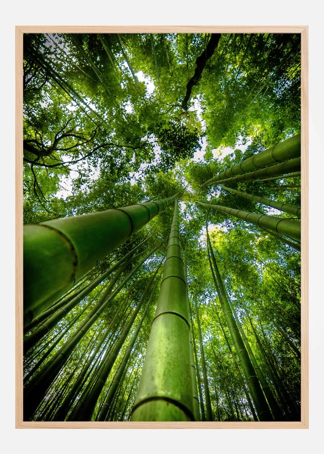 ARASHIYAMA Plakat