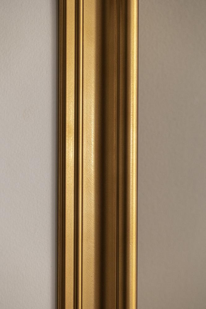 Ramme Mora Premium Guld 61x91,5 cm