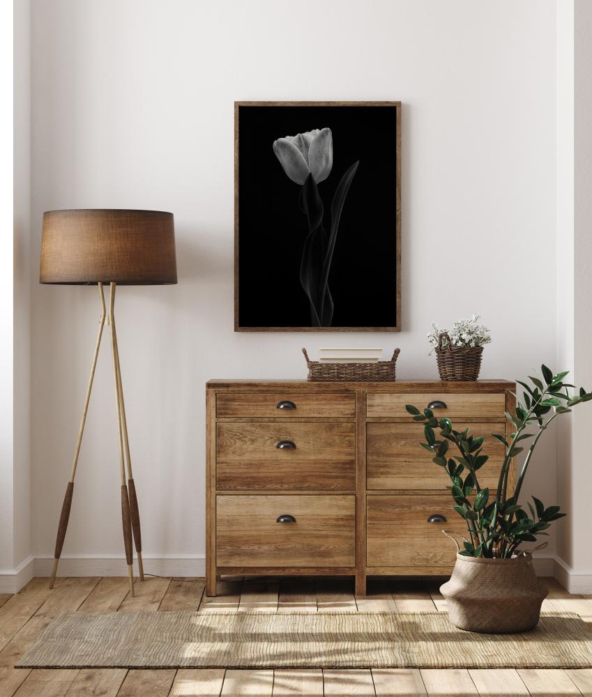 Tulip Plakat