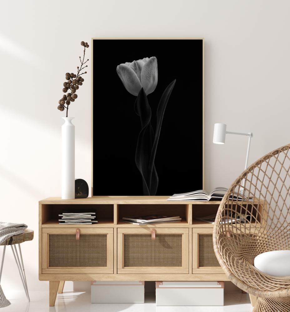 Tulip Plakat