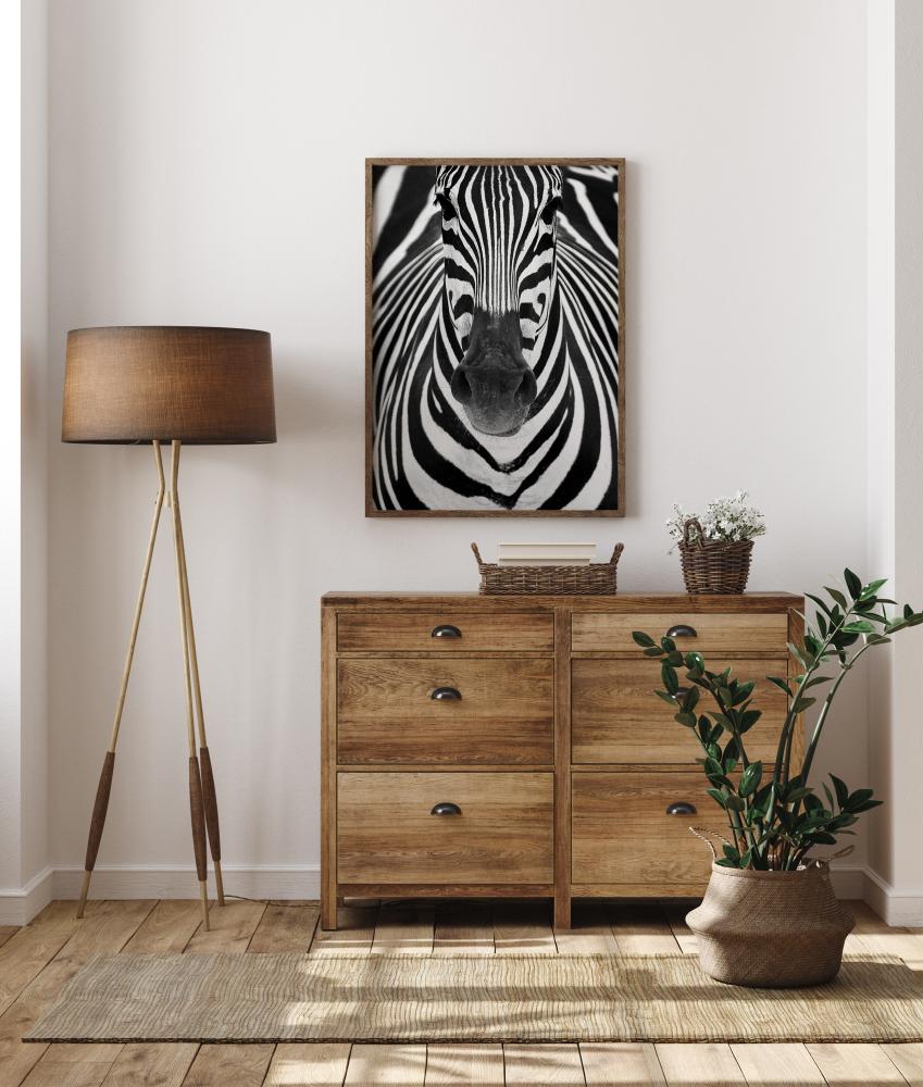 Zebra Plakat