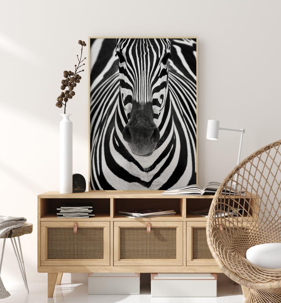 Zebra Plakat