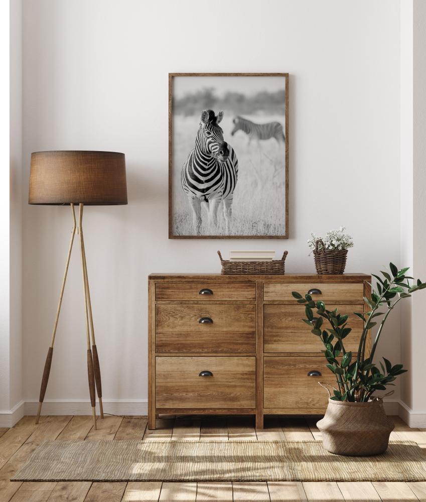 Zebra Bw Plakat