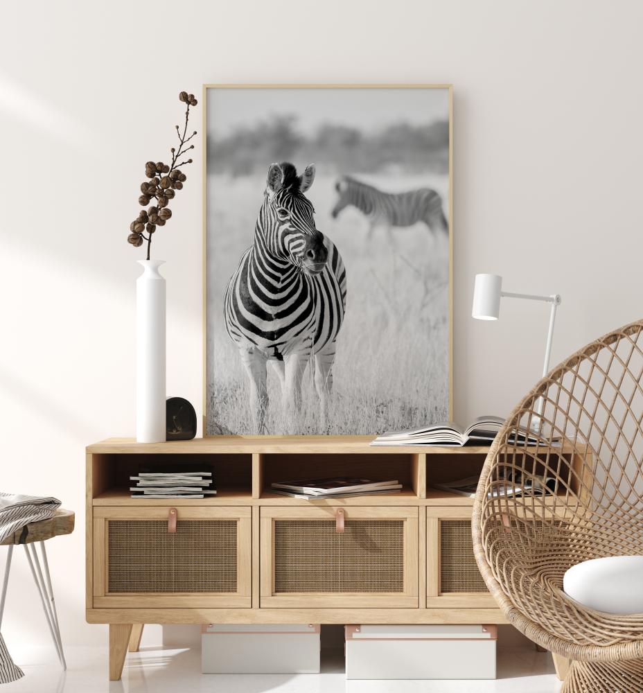 Zebra Bw Plakat