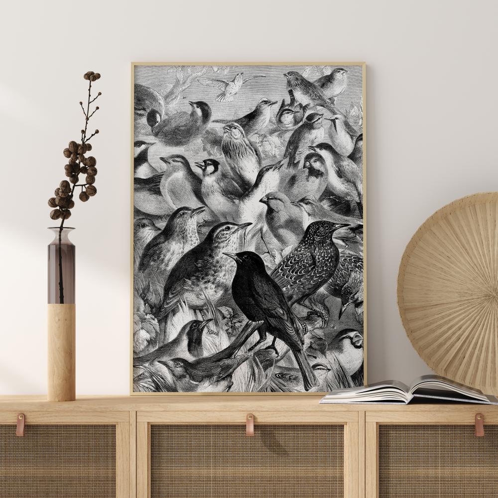 Birds Plakat