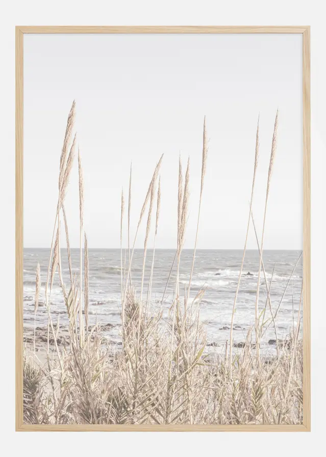 Beach Vass 001 Plakat