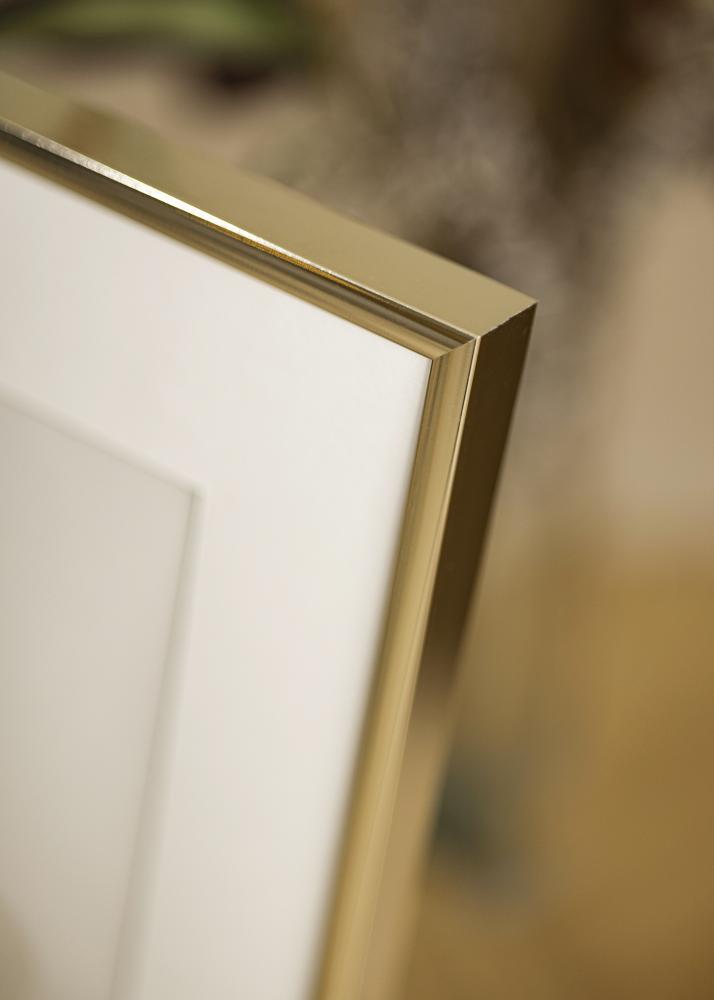 Ramme Aluminium Akrylglas Blank Guld 40x50 cm