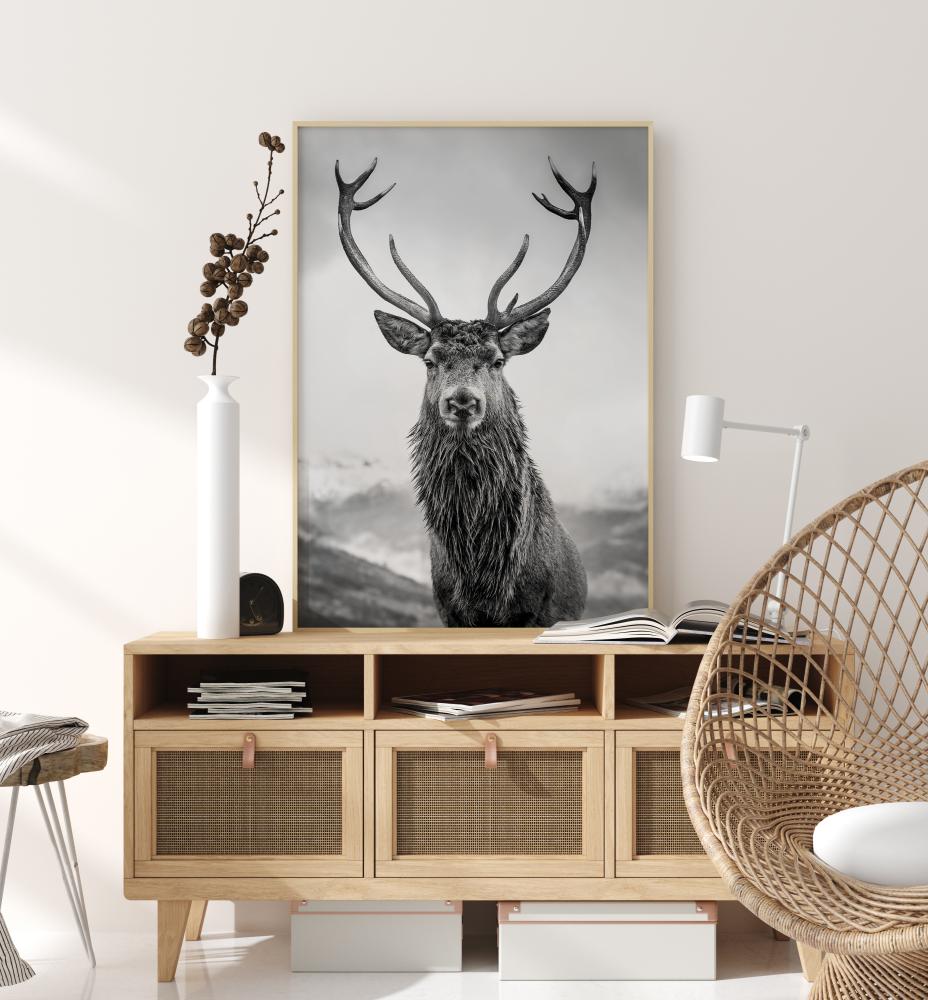 Curious Deer Plakat