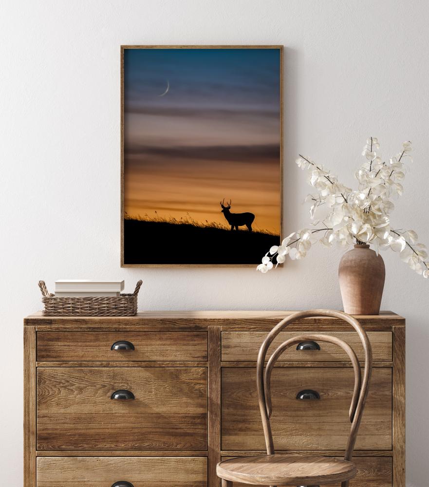 Deer In Sunset Plakat