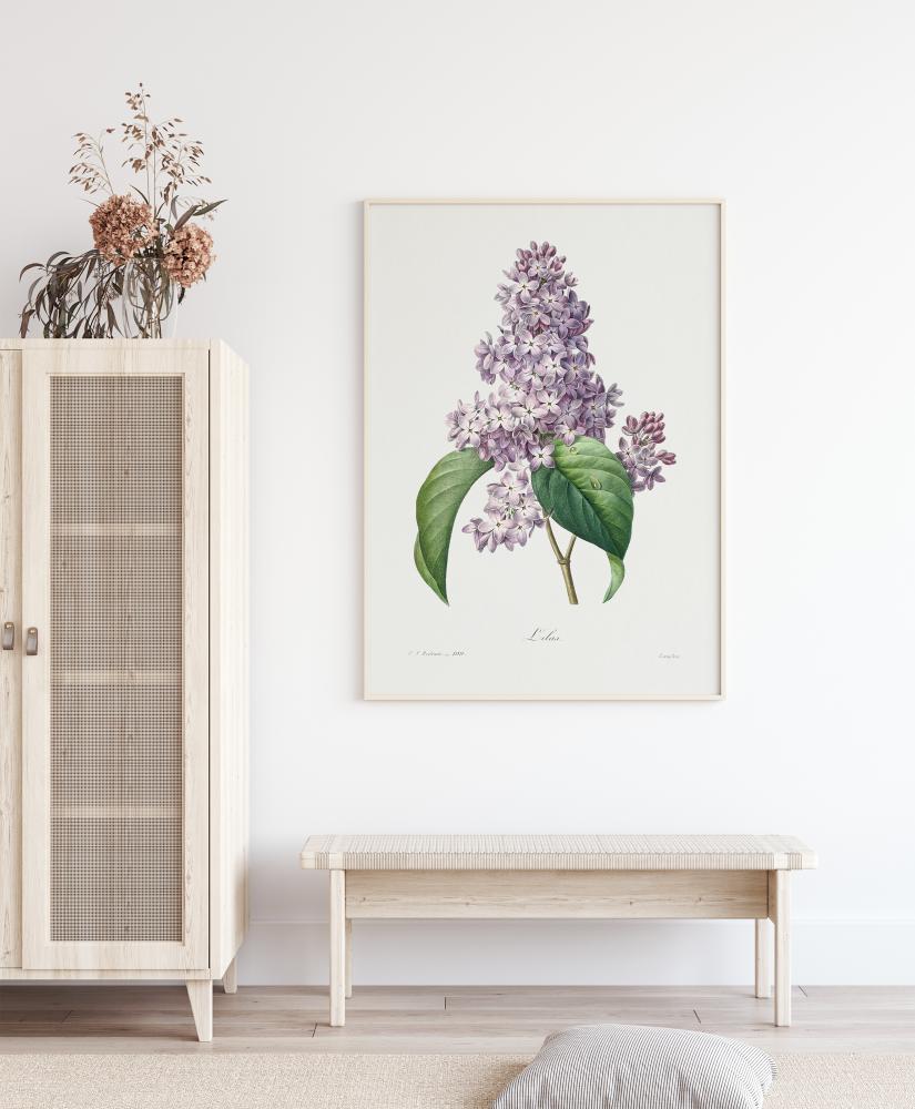 Lilac Flower Plakat