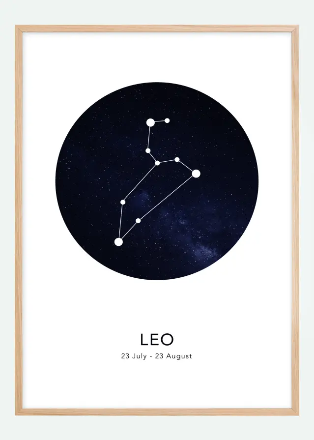 Leo Plakat