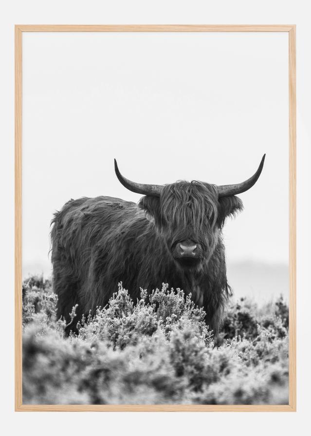 Highlander BW Plakat