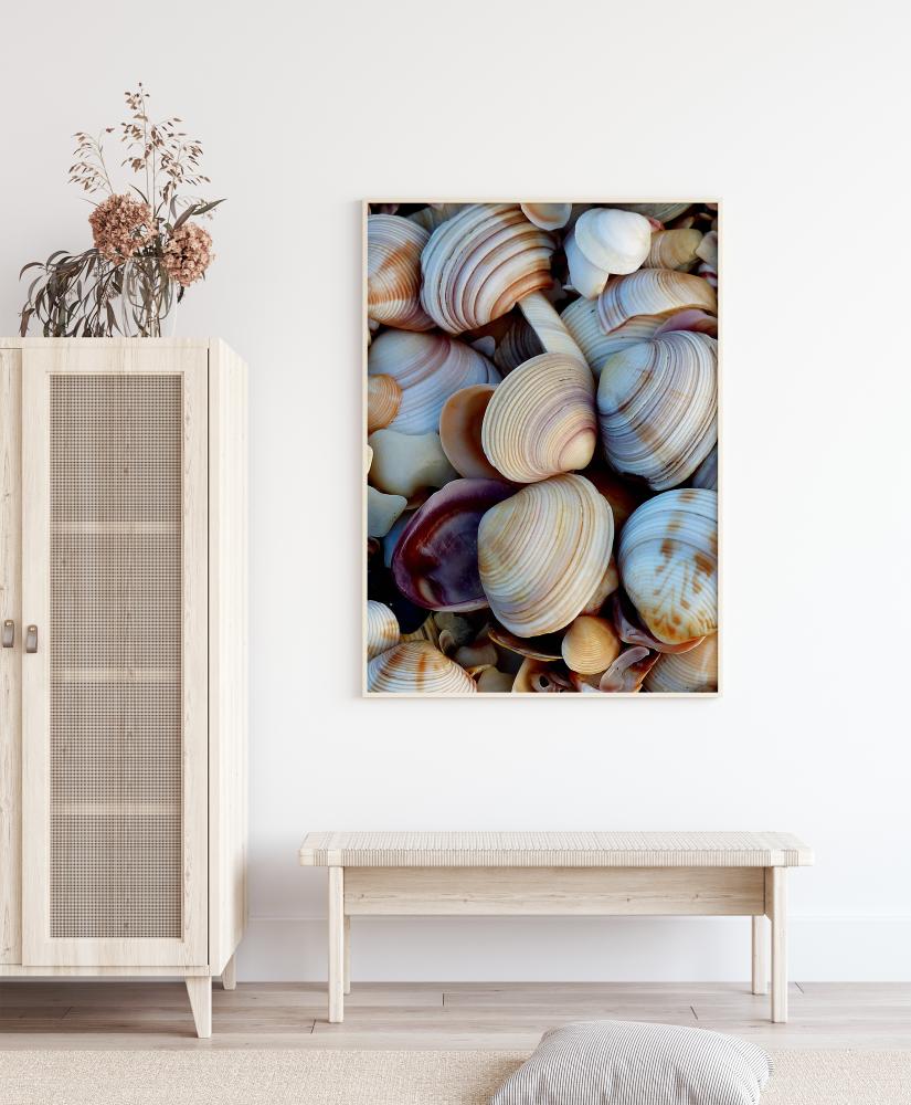 Shells Plakat