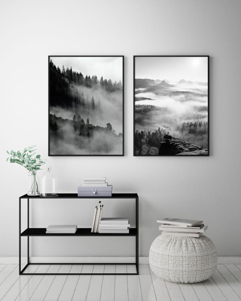 Foggy Forest Black & White I - 50x70 cm Plakat