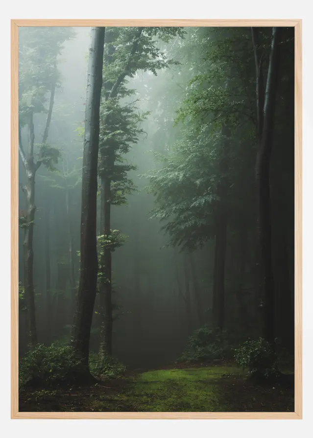 Mysterious forest Plakat