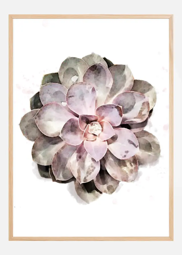 Succulent Plakat