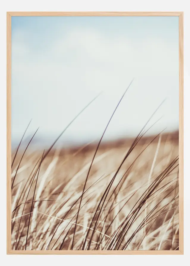 Dreamy Grass Plakat