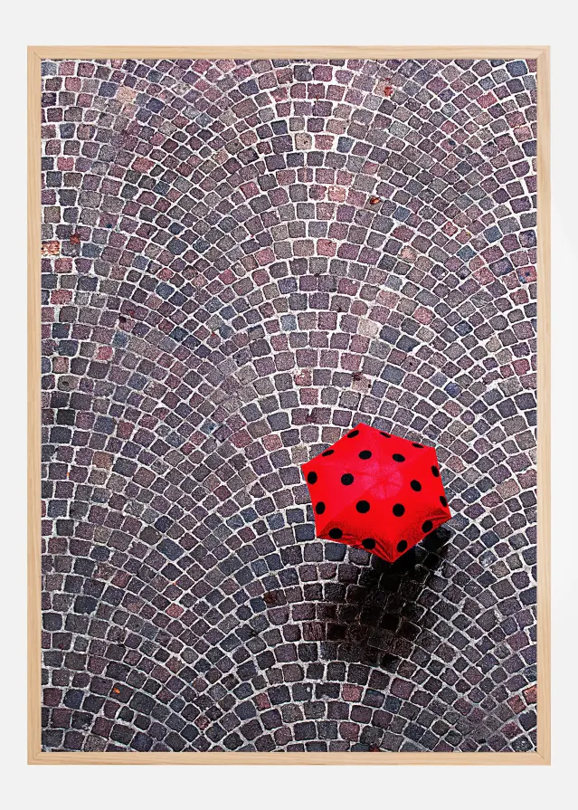 Urban Ladybug Plakat