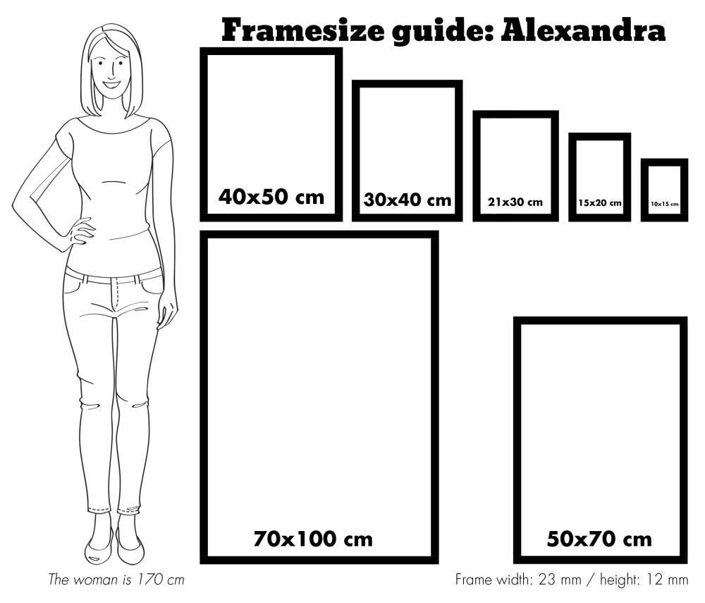 Ramme Alexandra Akrylglas Sort 61x91,5 cm