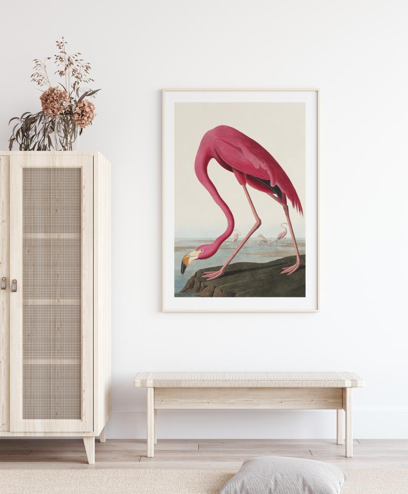 American Flamingo Plakat