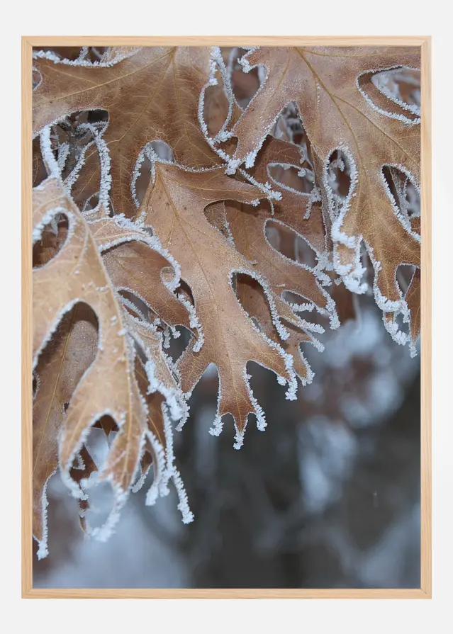 Frosty Leafs Plakat