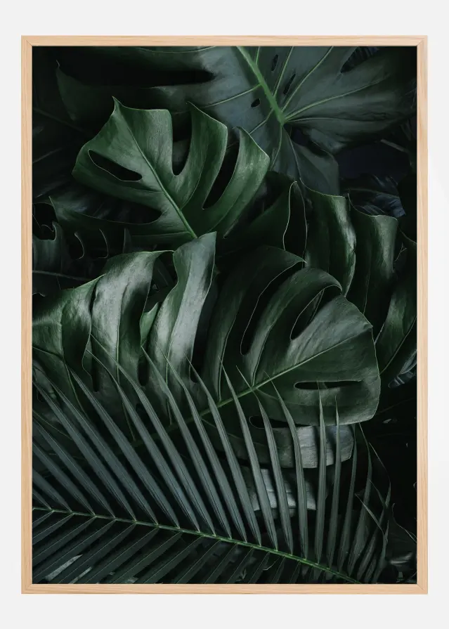 Monstera Plant II Plakat