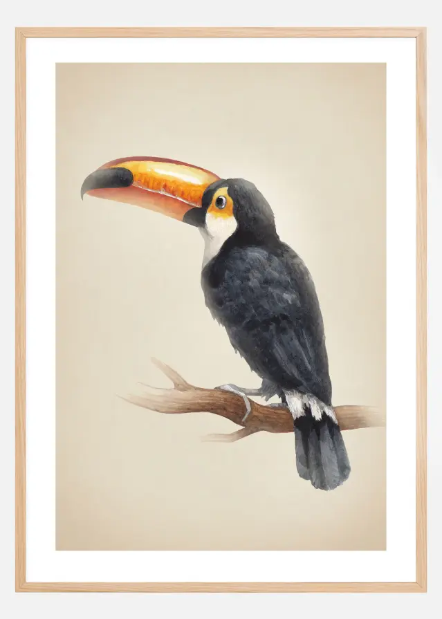 Tropical Toucan Plakat