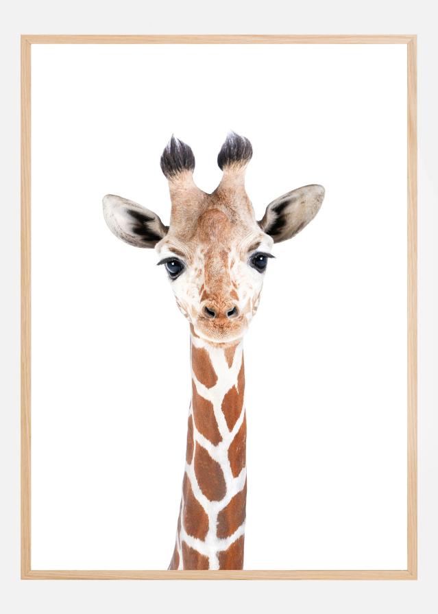 Baby Giraffe Plakat