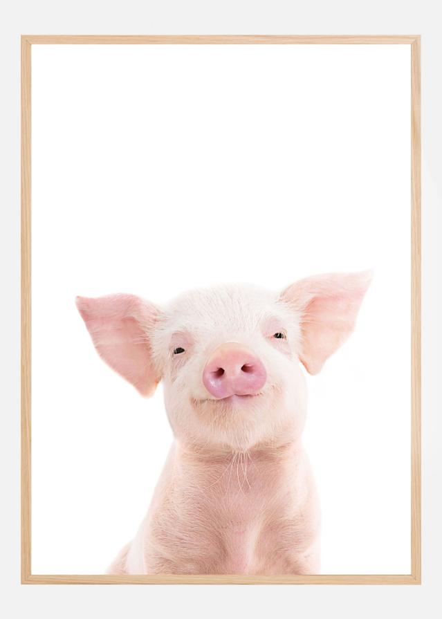 Baby Pig Plakat