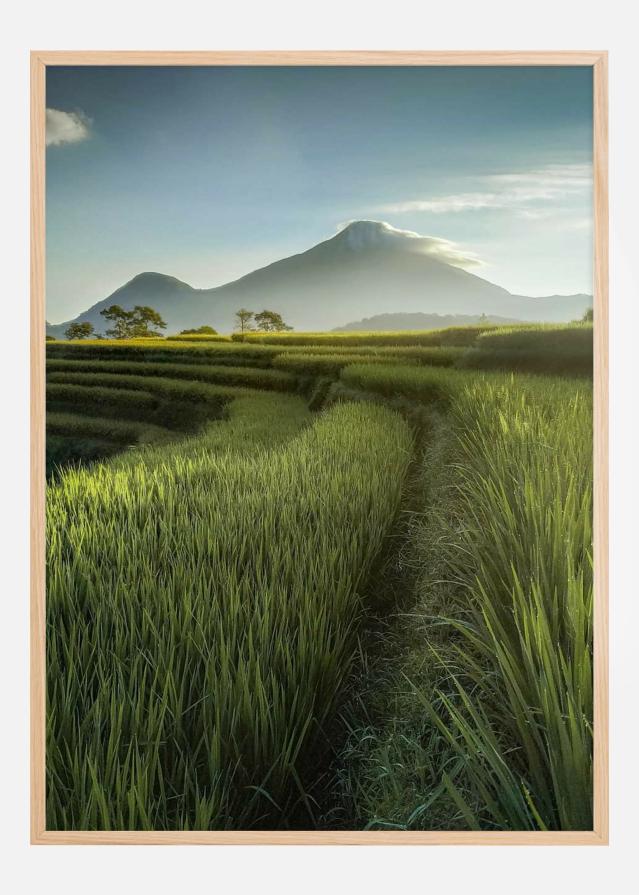 Beautiful Landscape Plakat