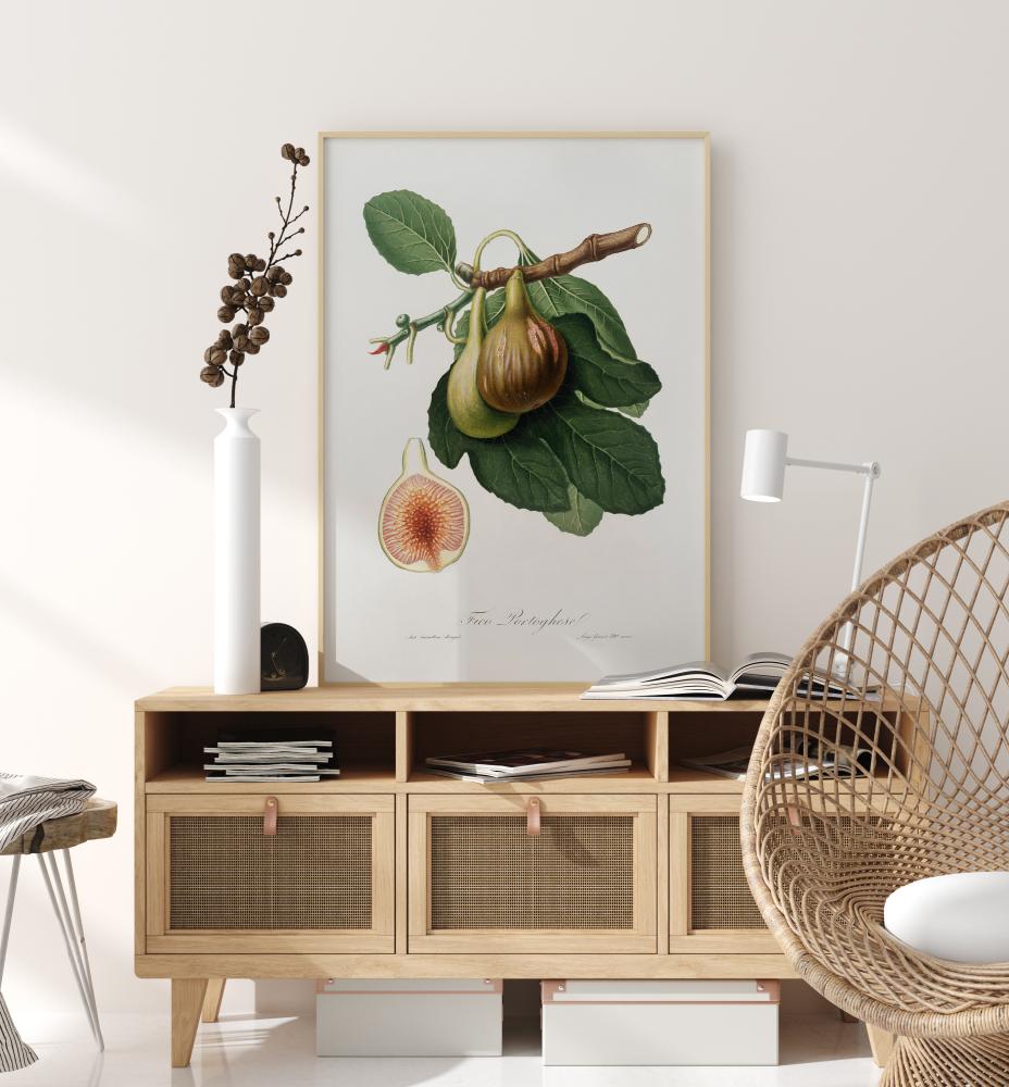 Figs Plakat