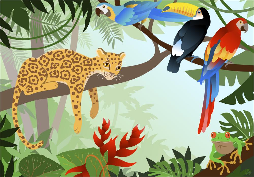 Jungle Animals Plakat