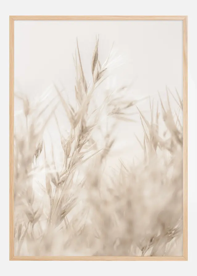 Beige Dried Straws ll Plakat