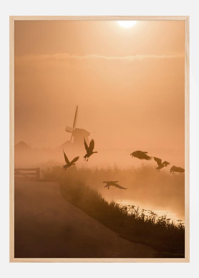 Sunrise Flight Plakat