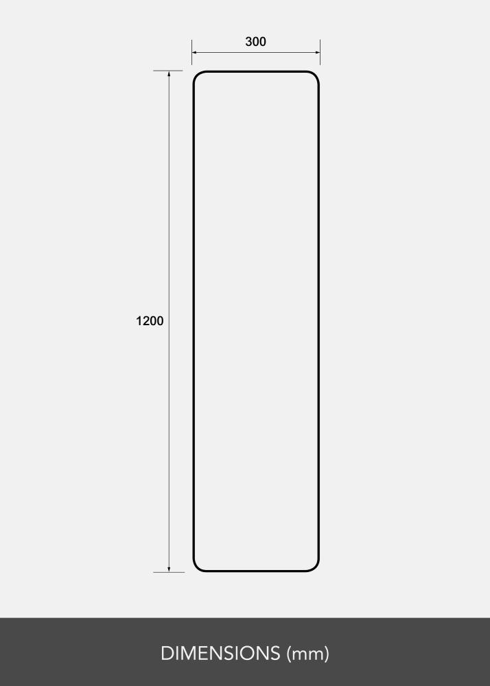 Spejl Rectangle L 30x120 cm