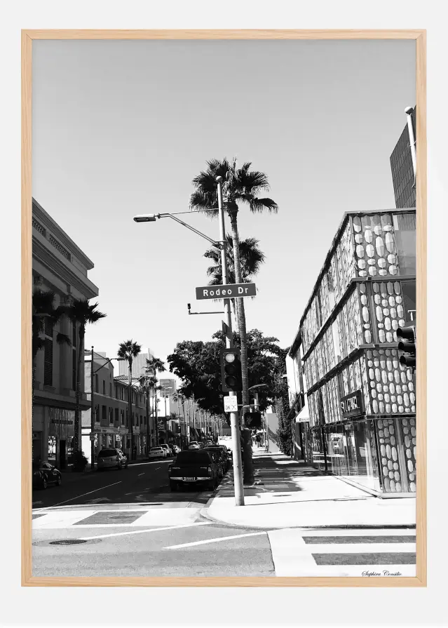 Rodeo drive Plakat