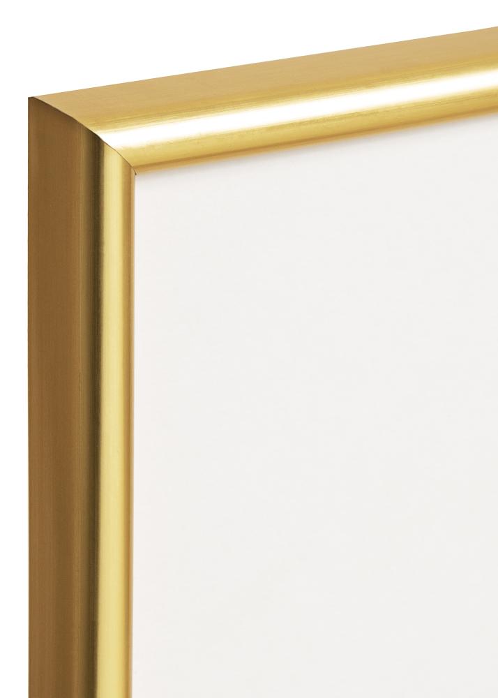 Ramme Decoline Akrylglas Guld 60x80 cm