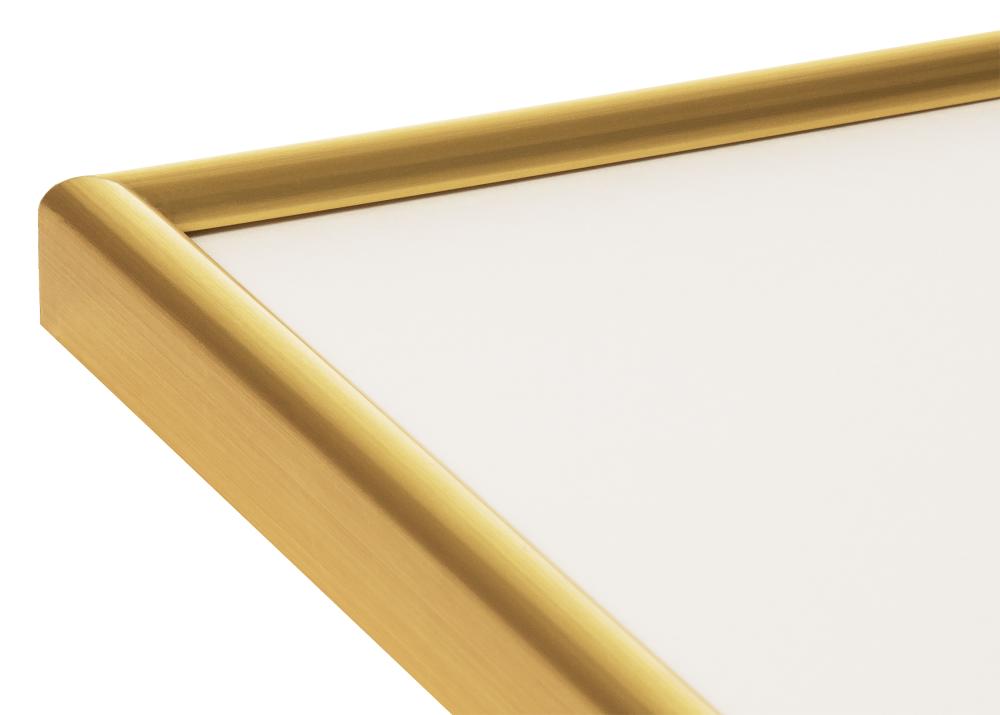 Ramme Decoline Akrylglas Guld 60x80 cm