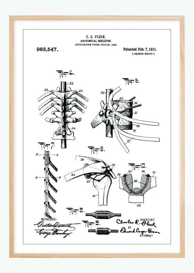 Patenttegning - Anatomisk Skelet III Plakat