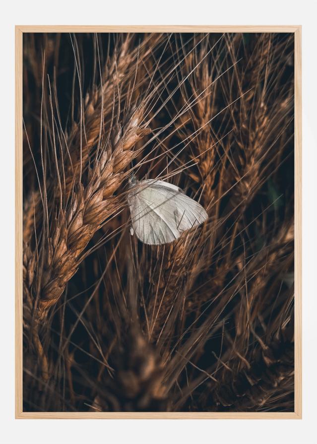 White Butterfly Plakat