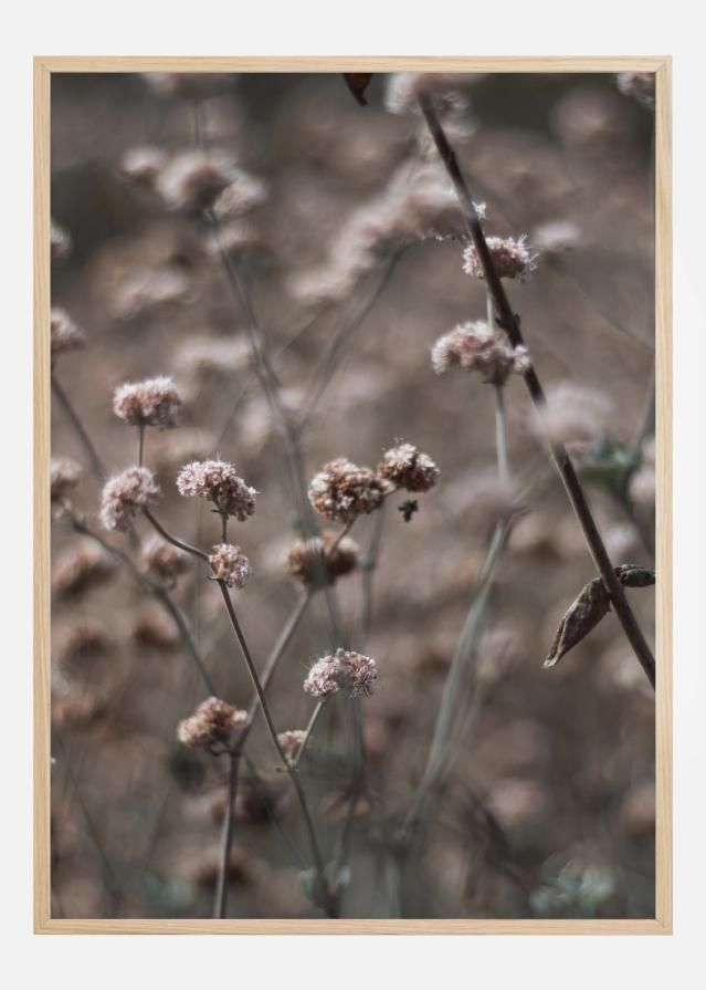 Bridal Veil Flower Plakat