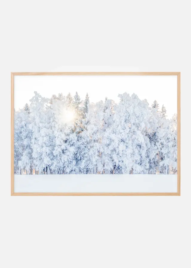 Winter light Plakat